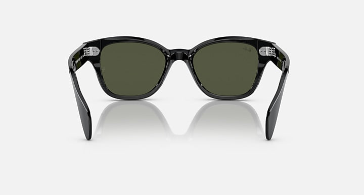 Ray-Ban-RB0880S
