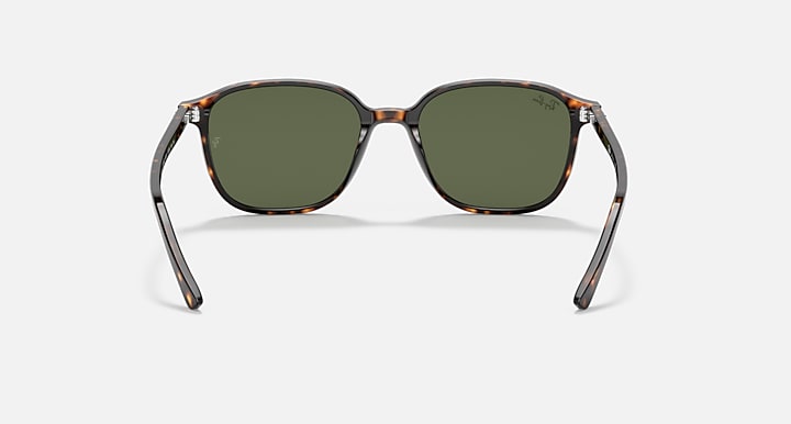 Ray-Ban-Leonard-RB2193