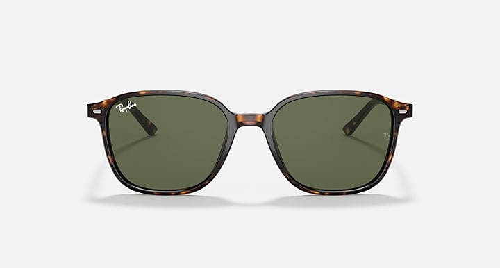 Ray-Ban-Leonard-RB2193