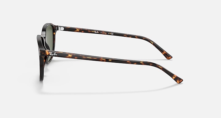 Ray-Ban-Leonard-RB2193