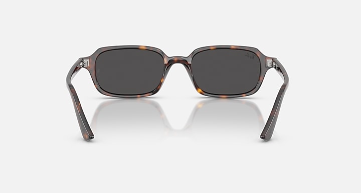 Ray-Ban-RB4455