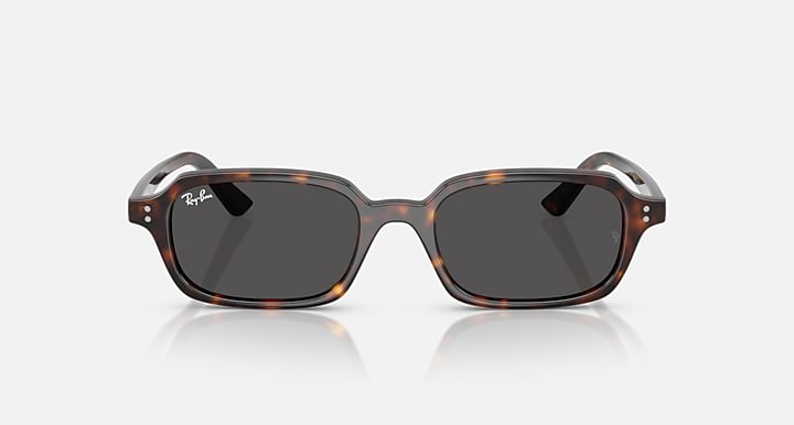 Ray-Ban-RB4455