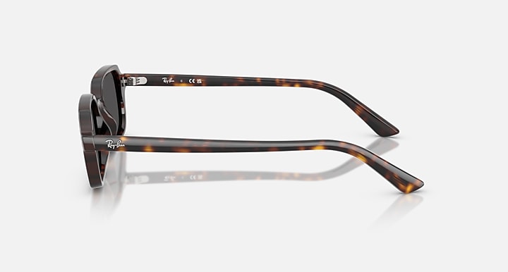 Ray-Ban-RB4455