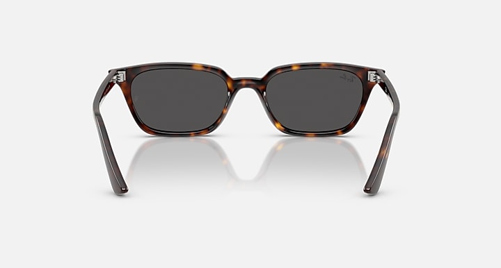 Ray-Ban-RB4456