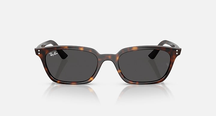Ray-Ban-RB4456