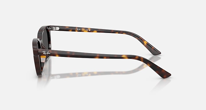 Ray-Ban-RB4456