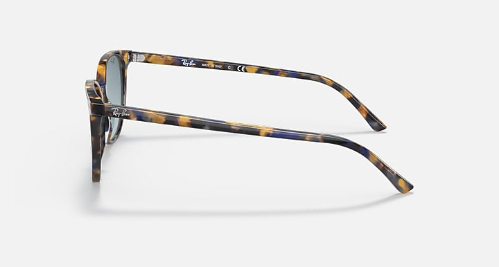 Ray Ban-Elliot-RB2197